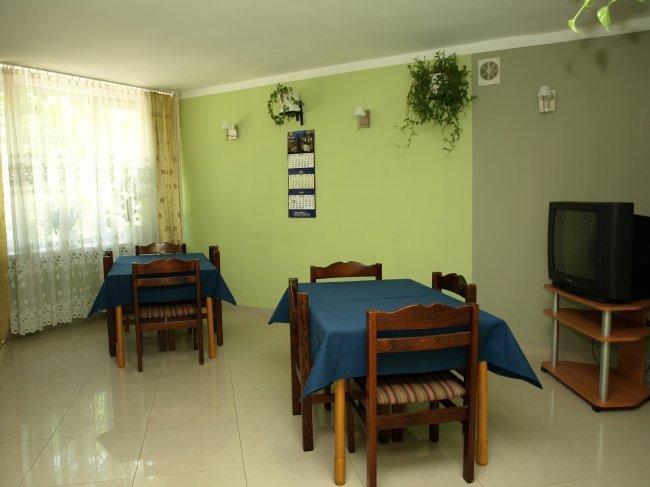 Bed and Breakfast Lesna Polana Сенкоцин Экстерьер фото